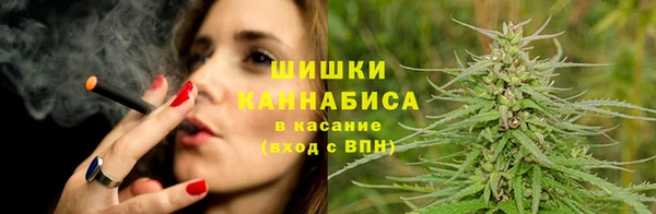 PSILOCYBIN Армянск