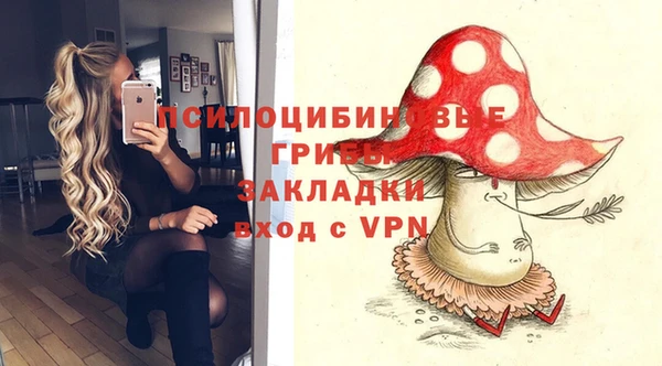 круглые Арсеньев