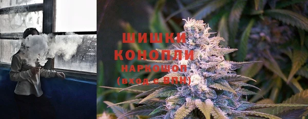 каннабис Аркадак